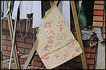 慈濟921援助紀實-災況